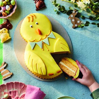 Easter Chick Cake with Hand